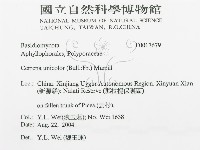 登錄號:F0017679藏品圖，第3張