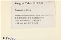 登錄號:F0017680藏品圖，第2張