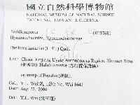 登錄號:F0017681藏品圖，第3張