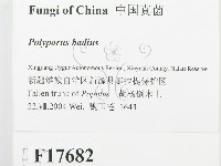 登錄號:F0017682藏品圖，第2張