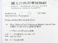 登錄號:F0017682藏品圖，第3張