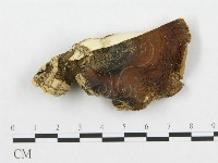 登錄號:F0017682藏品圖，第1張