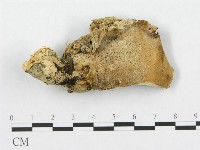 登錄號:F0017682藏品圖，第4張