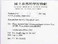 登錄號:F0017683藏品圖，第2張