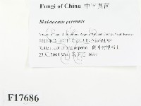 登錄號:F0017686藏品圖，第2張