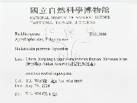 登錄號:F0017686藏品圖，第3張