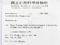 骨皮菌屬藏品圖，第3張