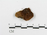 登錄號:F0017689藏品圖，第6張