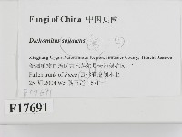 登錄號:F0017691藏品圖，第2張