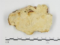 登錄號:F0017691藏品圖，第1張