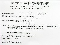 登錄號:F0017694藏品圖，第2張