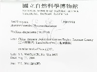 登錄號:F0017694藏品圖，第3張