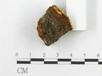 登錄號:F0017694藏品圖，第6張