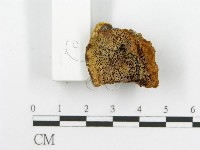 登錄號:F0017694藏品圖，第7張