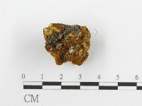 登錄號:F0017694藏品圖，第8張