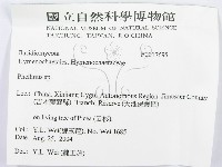 木層孔菌屬藏品圖，第3張
