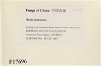 登錄號:F0017696藏品圖，第2張