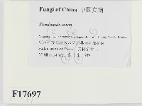 登錄號:F0017697藏品圖，第2張