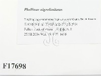 登錄號:F0017698藏品圖，第2張
