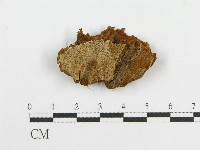 登錄號:F0017698藏品圖，第1張