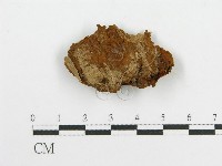 登錄號:F0017698藏品圖，第4張