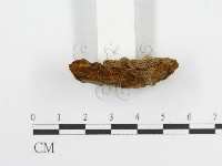 登錄號:F0017698藏品圖，第5張