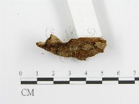 登錄號:F0017698藏品圖，第7張