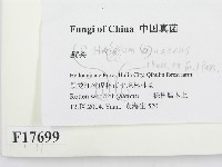 登錄號:F0017699藏品圖，第2張