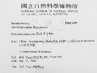 登錄號:F0017699藏品圖，第3張