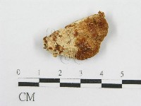 登錄號:F0017699藏品圖，第1張