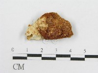 登錄號:F0017699藏品圖，第4張