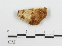 登錄號:F0017699藏品圖，第5張