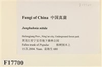 登錄號:F0017700藏品圖，第2張