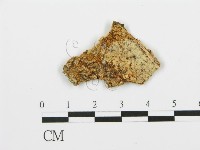 登錄號:F0017701藏品圖，第4張
