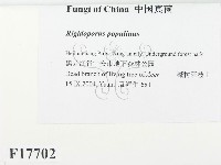 登錄號:F0017702藏品圖，第2張