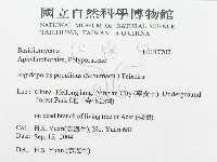 登錄號:F0017702藏品圖，第3張