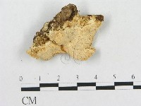 登錄號:F0017702藏品圖，第4張