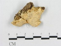 登錄號:F0017702藏品圖，第5張