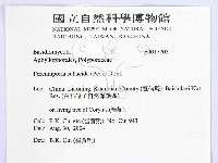 登錄號:F0017703藏品圖，第2張