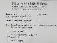 雲芝藏品圖，第2張