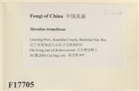 登錄號:F0017705藏品圖，第2張