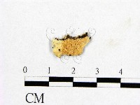 登錄號:F0017706藏品圖，第1張