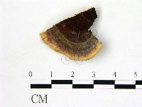 登錄號:F0017708藏品圖，第3張