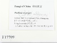 登錄號:F0017709藏品圖，第2張