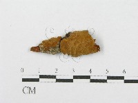 登錄號:F0017709藏品圖，第1張