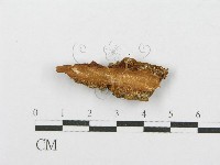 登錄號:F0017709藏品圖，第4張
