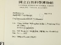 登錄號:F0017710藏品圖，第2張