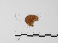 登錄號:F0017710藏品圖，第3張