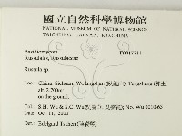 紅菇屬藏品圖，第2張