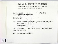 登錄號:F0017716藏品圖，第2張